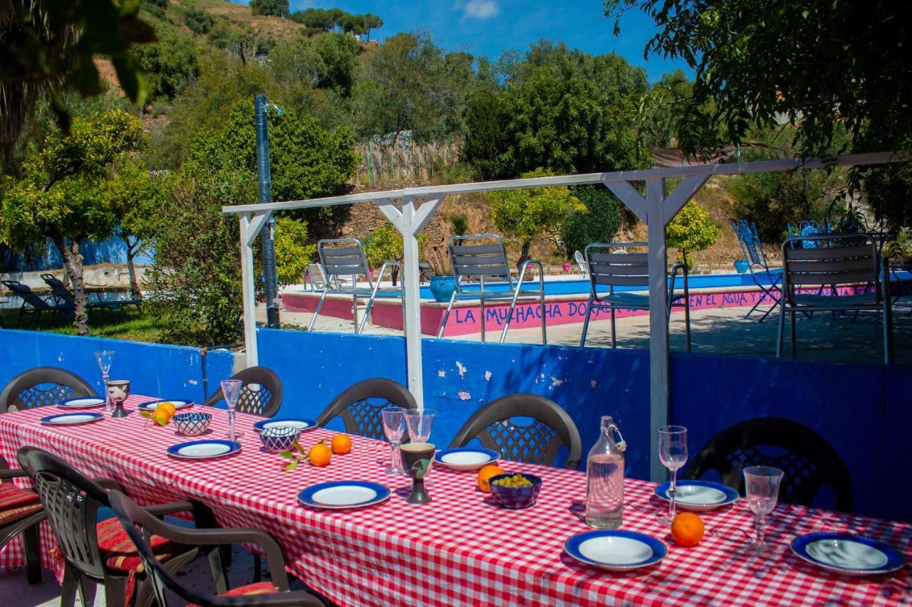 Bohemian Villa Málaga Alora Bagian luar foto