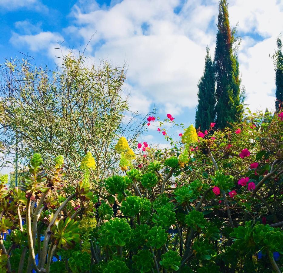 Bohemian Villa Málaga Alora Bagian luar foto