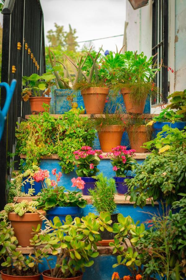Bohemian Villa Málaga Alora Bagian luar foto
